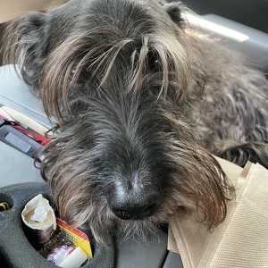 Fundraising Page: Tim Joslin